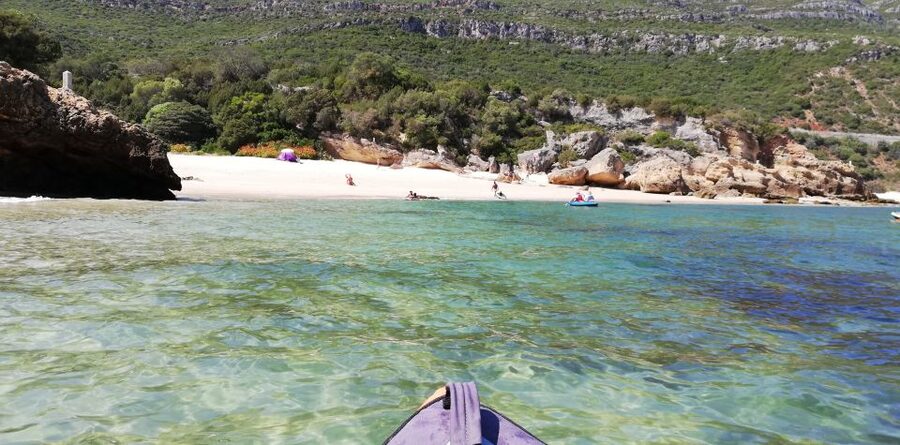 Lisbon: Full-Day Arrabida Kayak Tour with Picnic - Snorkeling masks and watching exotic fish without the pressure