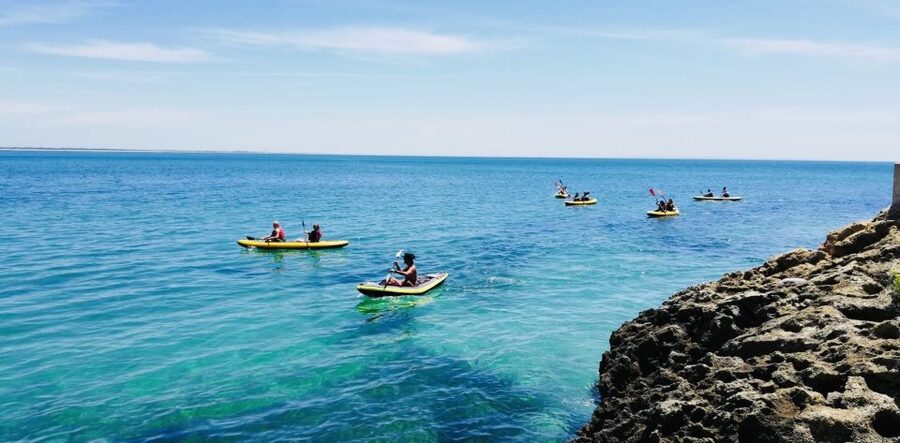 Lisbon: Full-Day Kayak Tour with Picnic and Transfer - Price of $88: What You’re Really Paying For