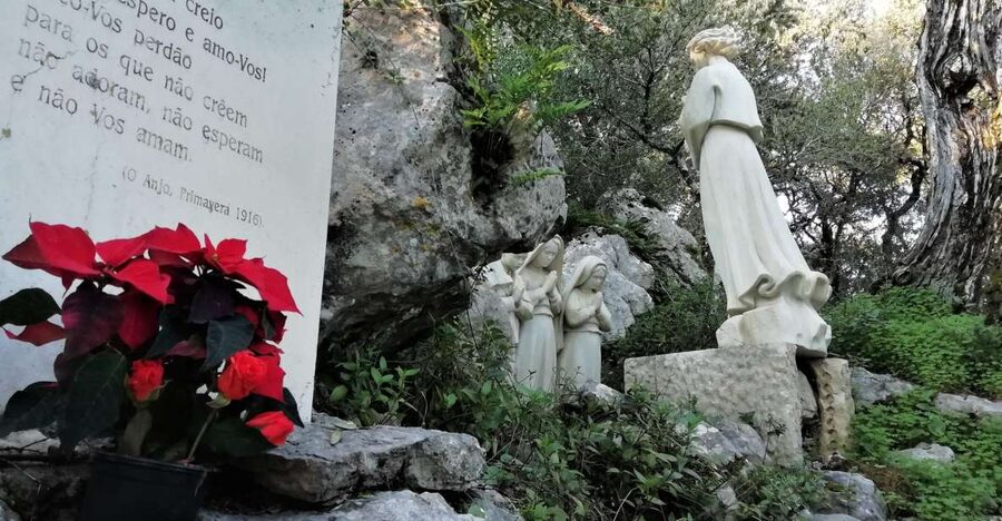 Lisbon: Full-Day Private Guided Tour to Fátima - Key takeaways before you go