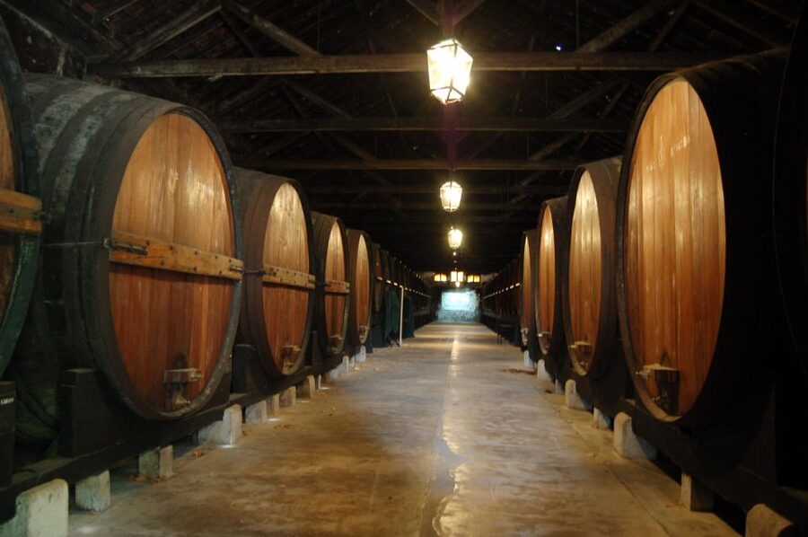 Lisbon Getaway: Private Arrábida Wine & Food Tour - Lunch window (not included): how to choose well for €25 to €30