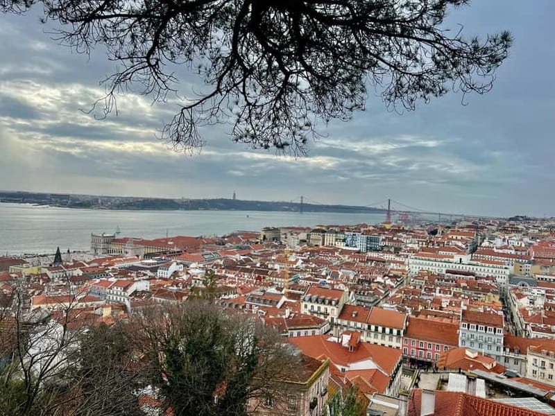 Lisbon: Guided Sightseeing Tour by Tuk Tuk - What rules to know before you ride