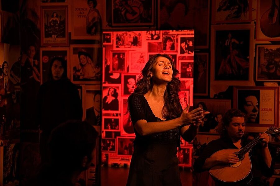 Lisbon: Half-Day Night Group Tour w/ Fado Dinner Show - The Alfama Fado dinner show at around 20:30