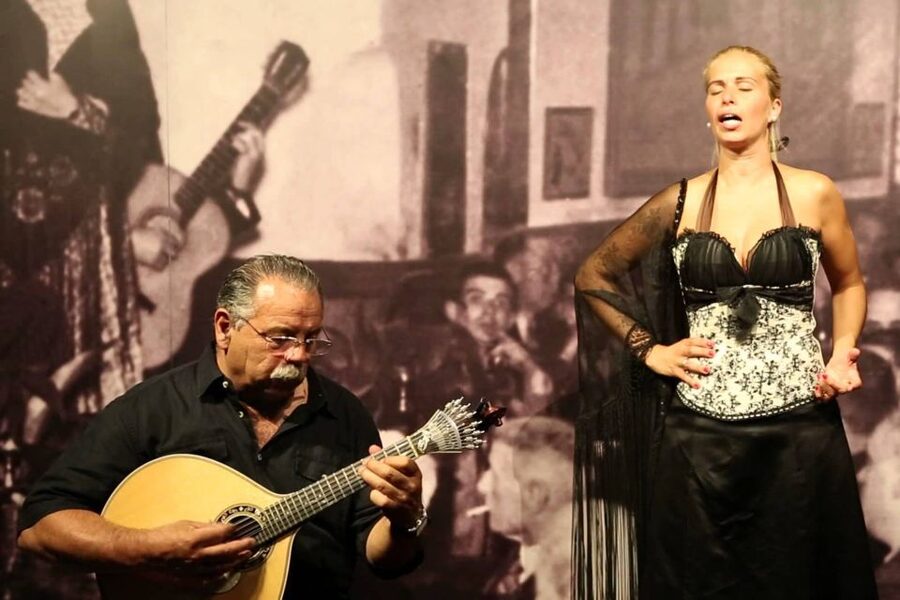 Lisbon: Half-Day Night Group Tour w/ Fado Dinner Show - Price and value: where the $140 makes sense, and where it can pinch