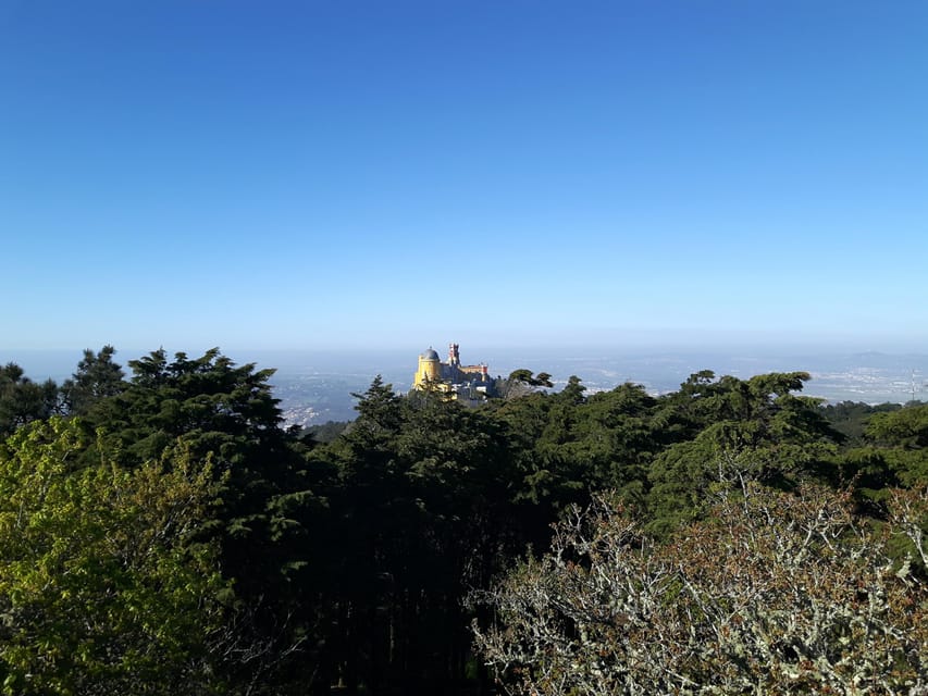 Lisbon: Half-Day Sintra Tour with Pena Palace and Regaleira - Pacing and logistics: comfortable minivan time, plus the walking you should expect