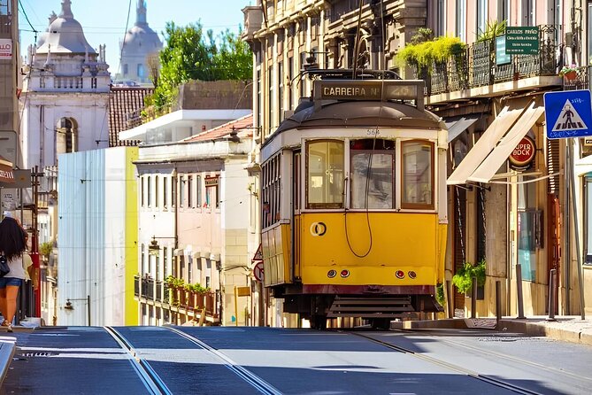 Lisbon Half day tour by Private Car - Miradouro Sao Pedro de Alcantara: Closing the Loop on the Views