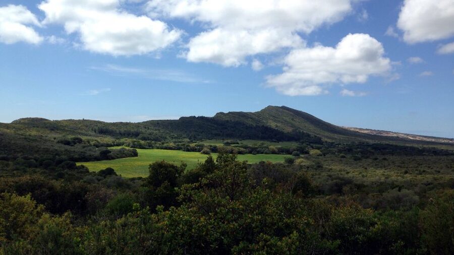 Lisbon: Hiking in Arrábida Natural Park - Key Highlights You’ll Really Feel