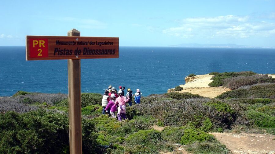 Lisbon: Hiking in Arrábida Natural Park - Food Plan: Lunch Not Included, But the Day Still Has Fuel