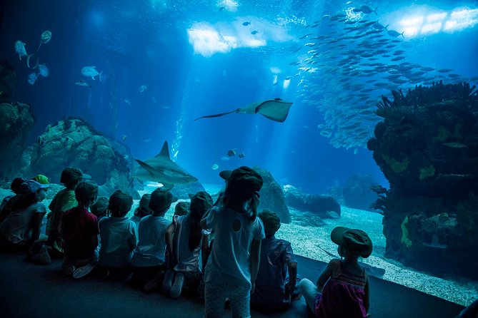 Lisbon Hop-On Hop-Off Bus and Boat Tour with Oceanário Ticket - Price and value, when it makes sense at $70