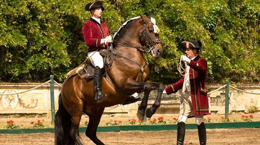 Lisbon: Morning of Equestrian Art with Lusitano Horses - Key things that make this Lisbon Lusitano morning worth your time