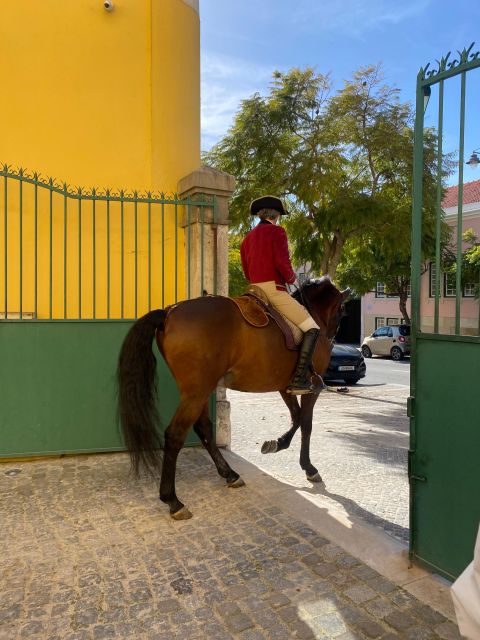 Lisbon: Morning of Equestrian Art with Lusitano Horses - Should you book this Lisbon Lusitano morning?
