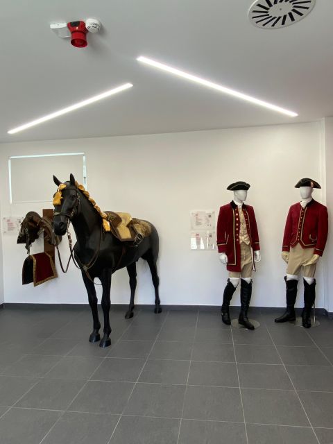 Lisbon: Morning of Equestrian Art with Lusitano Horses - Who this Lusitano morning fits best (and who should reconsider)
