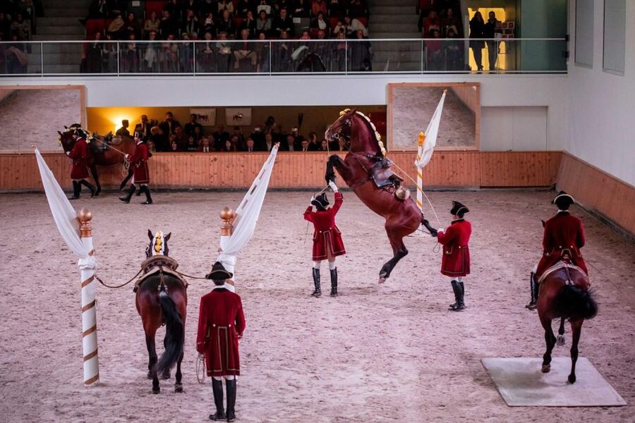 Lisbon: Morning of Equestrian Art with Lusitano Horses - Nora Patio: where the atmosphere does the heavy lifting