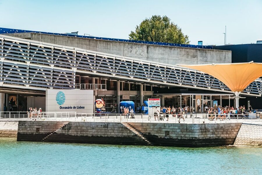 Lisbon: Oceanário de Lisboa Entrance Ticket - How Long to Stay and How to Plan Around Crowds