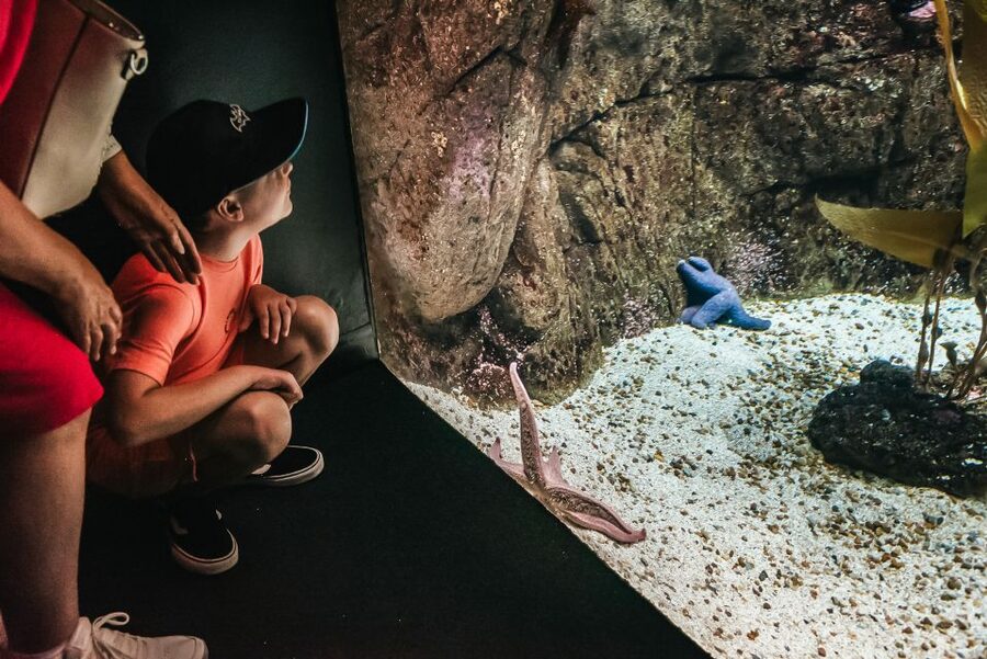 Lisbon: Oceanário de Lisboa Entrance Ticket - Temporary Exhibitions: Why They Matter in a One-Day Visit