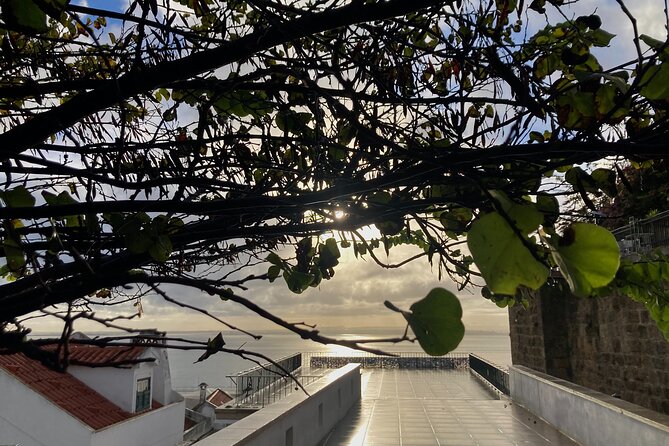 Lisbon Off The Beaten Track and Main Sights Private Walking Tour - Pacing, timing, and how long this walk might feel