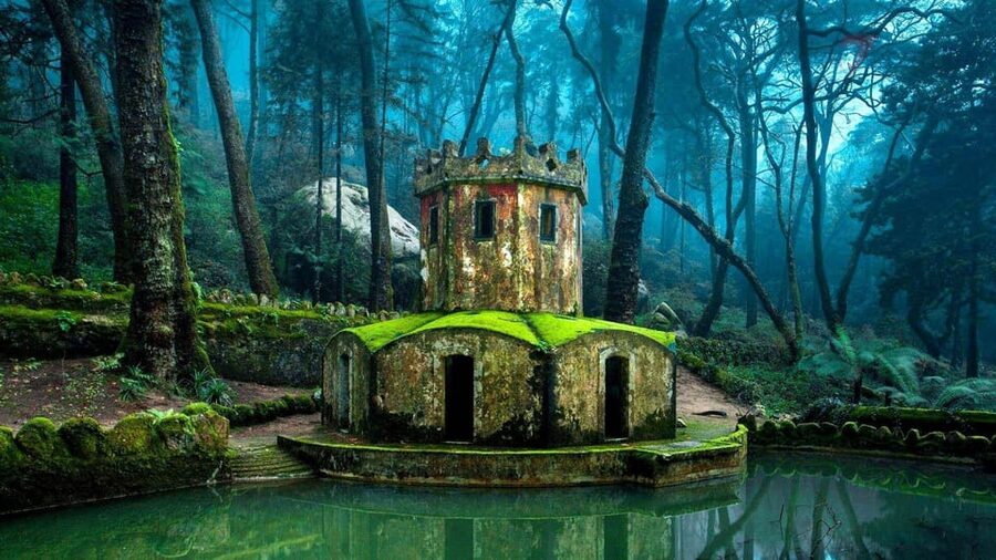 Lisbon: Pena Palace, Moorish Castle, Qta. Regaleira & Sintra - Pena Palace gardens and the palace itself (with an 11:00 Am slot)