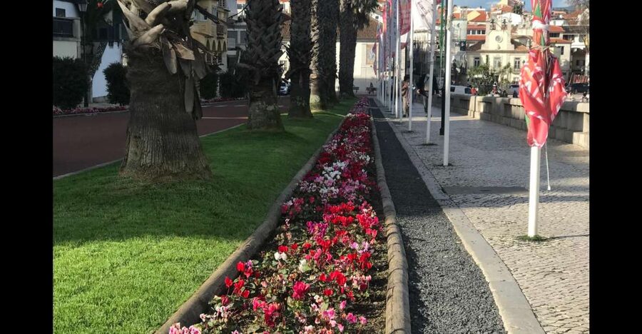 Lisbon: Pena Palace, Sintra, Cascais, and Cabo Roca Day Trip - Sintra free time: cobblestones, pastries, tiles, cork, and gifts