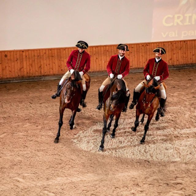 Lisbon: Portuguese Riding School Trainig with Lusitano Horse - What This Lisbon Equestrian Art Session Really Is