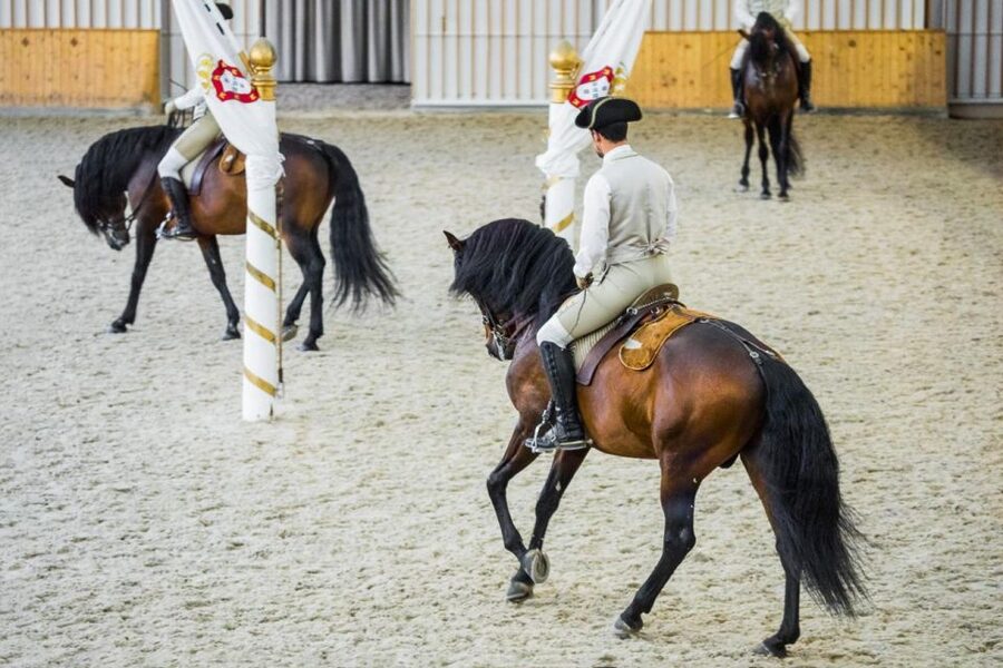 Lisbon: Portuguese Riding School Trainig with Lusitano Horse - Nora Patio: The 18th-Century Court Atmosphere