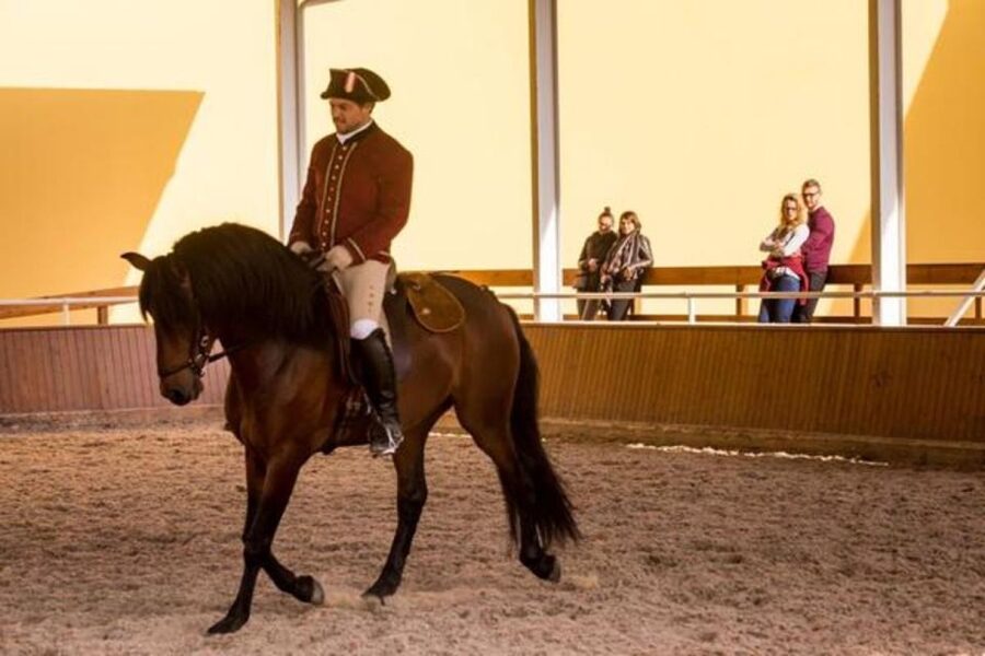 Lisbon: Portuguese Riding School Trainig with Lusitano Horse - Timing That Works: 10am to 1pm, Best Between 11am and 12:30pm