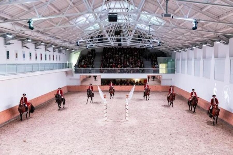 Lisbon: Portuguese Riding School Trainig with Lusitano Horse - Skip-the-Line Ticket Access and the Book N Tour Requirement