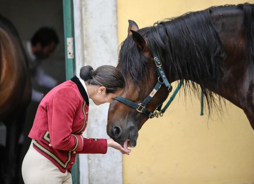 Lisbon: Portuguese Riding School Trainig with Lusitano Horse - Practical Tips: Shoes, Headphones, and Photo Rules