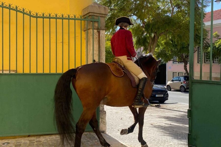Lisbon: Portuguese Riding School Trainig with Lusitano Horse - Henrique Calado Riding Ring: Stable Time with Handlers