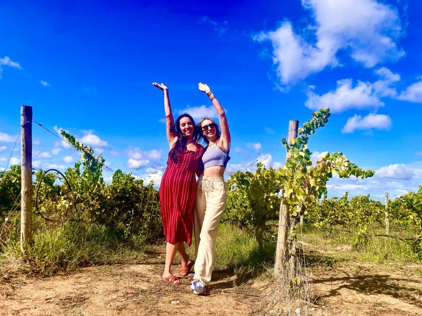 Lisbon: Private All Inclusive Setúbal & Arrábida Wine Tour - Arrábida Natural Park lookout: where the views explain the coast