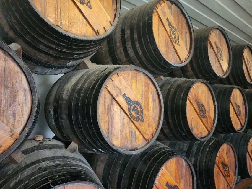 Lisbon: Private All Inclusive Setúbal & Arrábida Wine Tour - Livramento Market in Setúbal: start with oysters, cheese, and the best kind of hunger