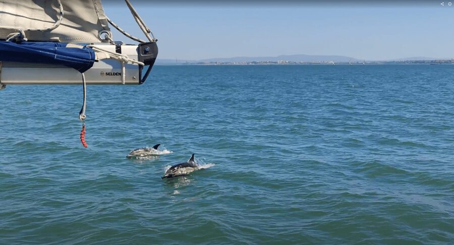 Lisbon: Private Boutique Boat Tour – Sail in Style - Optional Add-Ons: Sail Training, Food, and Water Time