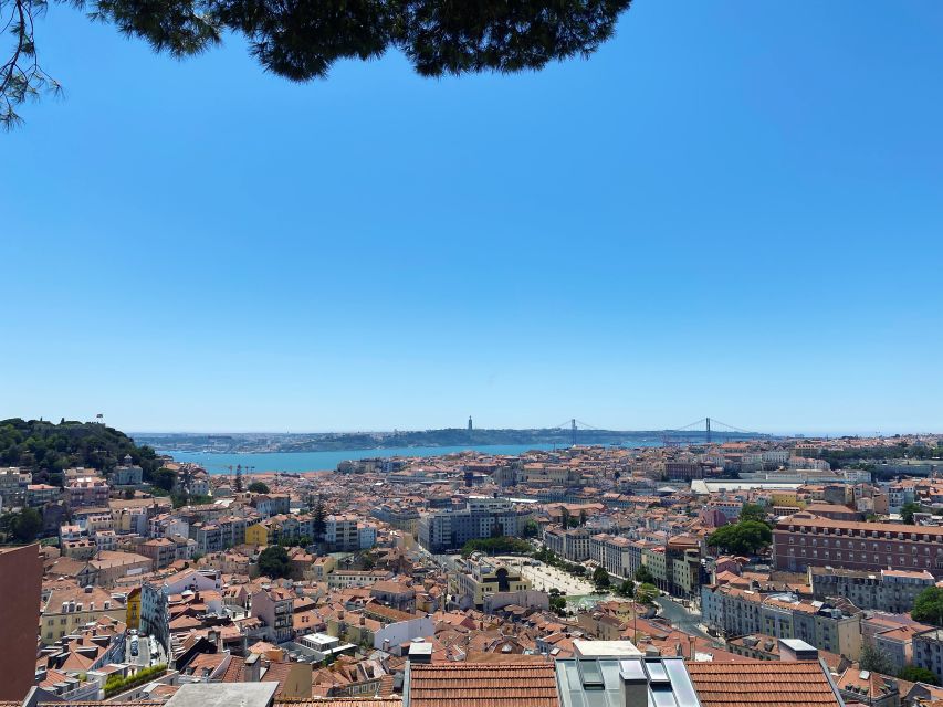 Lisbon: Private City Sightseeing Tour by Tuk-Tuk - Commerce Square, Rua Augusta Arch, Pink Street, and Mercado da Ribeira Finish
