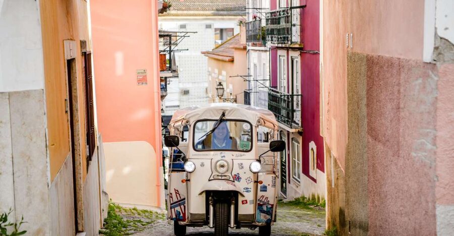 Lisbon: Private Food & Wine City Tour by Eco Tuk Tuk - The food and wine stop: what you should expect to taste