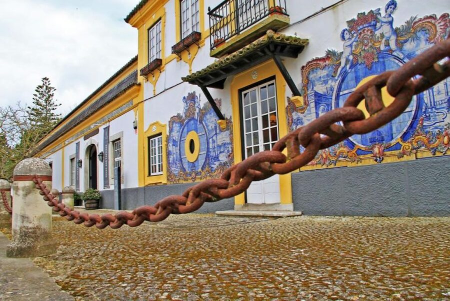 Lisbon: Private Full-Day Wine Tasting Tour in a premium car - Key highlights worth writing home about