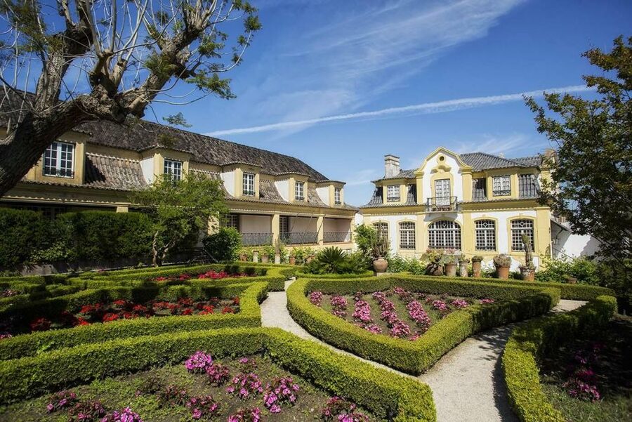 Lisbon: Private Full-Day Wine Tasting Tour in a premium car - Second winery visit: guided tour plus three regional wines in 1 hour