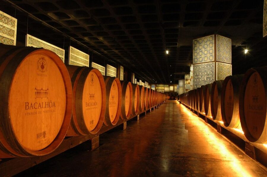 Lisbon: Private Full-Day Wine Tasting Tour in a premium car - What to bring, and how to enjoy the tastings without turning the day into a blur