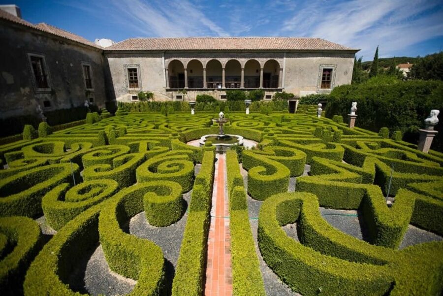 Lisbon: Private Full-Day Wine Tasting Tour in a premium car - Who this tour is best for