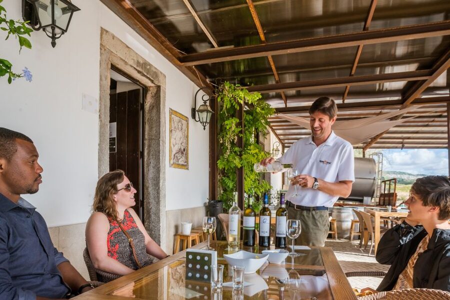 Lisbon Private Setúbal Region Wine Tasting Tour - The Setúbal Winemaking Day Trip That Feels Like a Local Route
