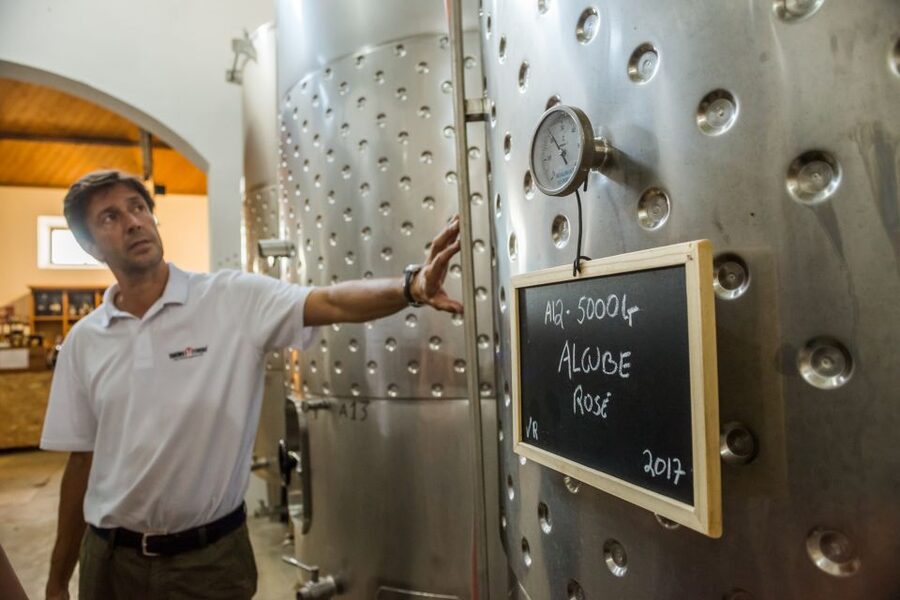 Lisbon Private Setúbal Region Wine Tasting Tour - Should You Book This Lisbon to Setúbal Wine Tour?