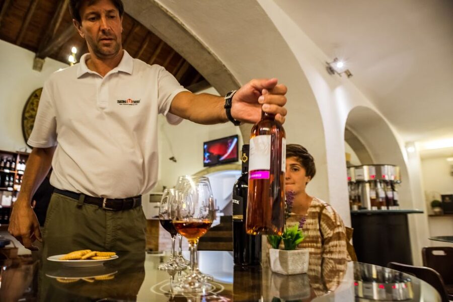 Lisbon Private Setúbal Region Wine Tasting Tour - Two Tasting Options, Pick the Vibe
