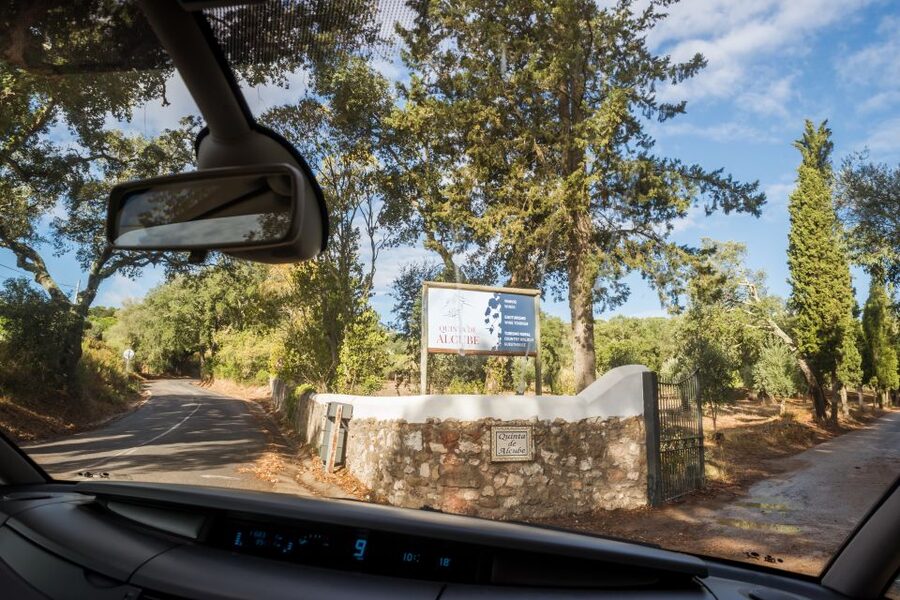 Lisbon Private Setúbal Region Wine Tasting Tour - Azeitão and Palmela Stops: From Century-Old Cellars to the Mother House