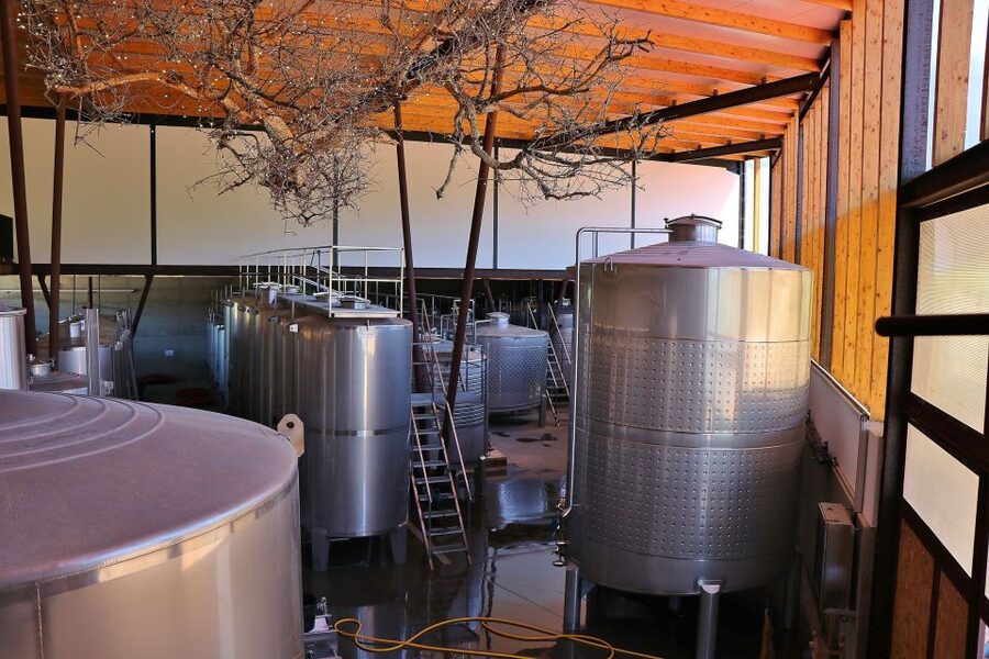 Lisbon Private Setúbal Region Wine Tasting Tour - How the Private Guide Changes Everything