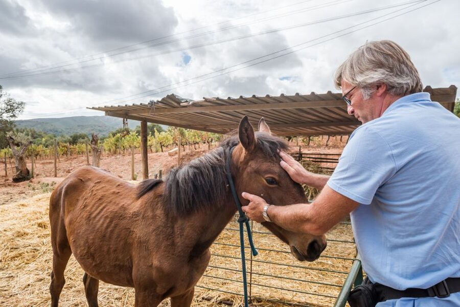 Lisbon Private Setúbal Region Wine Tasting Tour - Before You Go: What to Bring and How to Prep