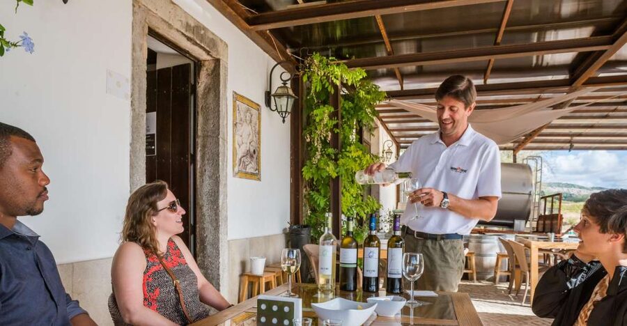 Lisbon Private Setúbal Region Wine Tasting Tour - José Maria da Fonseca: The Anchor Stop You Can Count On