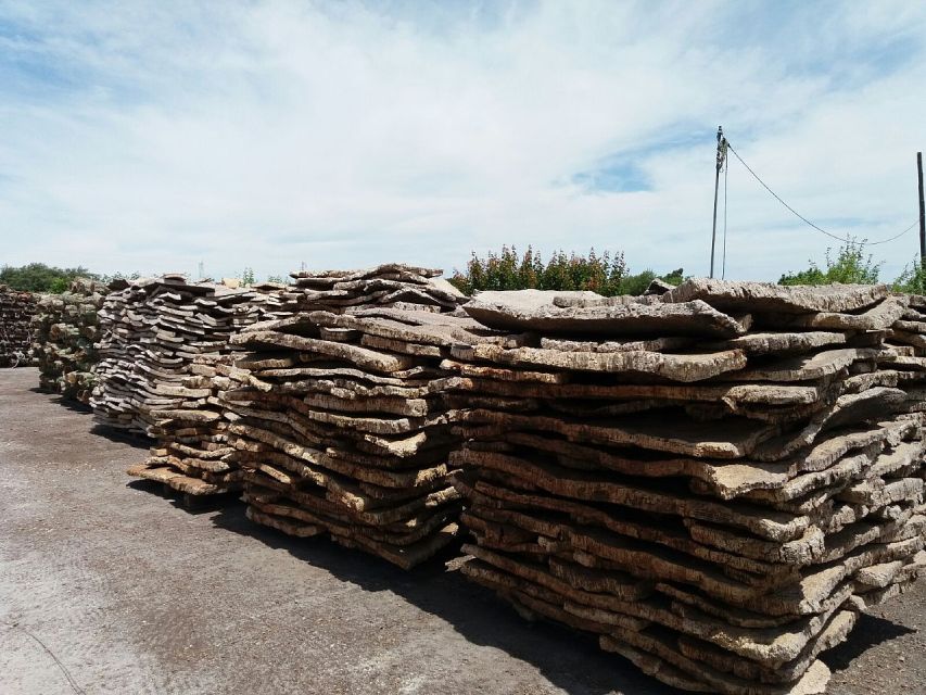 Lisbon: Private Tour to Évora and Cork Factory - Price and Value: Is $388 Worth It for This Private Format?