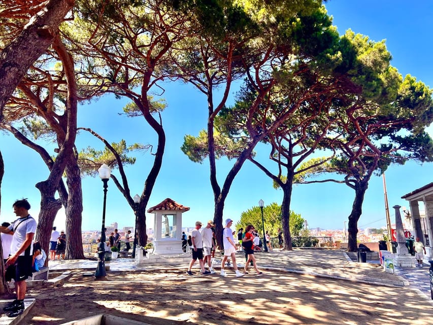 Lisbon: Private Tuk Tuk Tour with Polaroid Photos - Alfama and the Fado Museum: Where Stories Make the Streets Make Sense