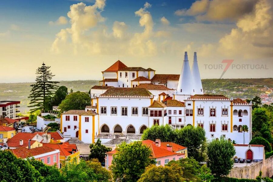 Lisbon: Rent a Private Car with Driver & Plan Your Tour. - Private BMW With Driver: The Real Value for Your Day