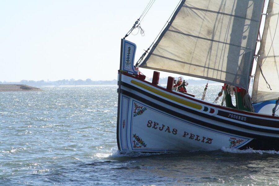 Lisbon: River Tagus Sightseeing Cruise in Traditional Vessel - Belém in One Pass: Jerónimos, Belém Tower, and the Age of Discovery