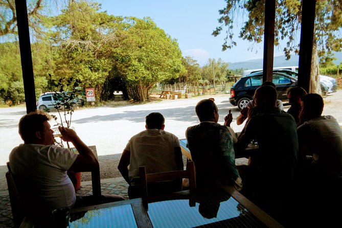 Lisbon´s South Sights & Wine Private Tour - Cabo Espichel sanctuary: dramatic cliff time, then wine