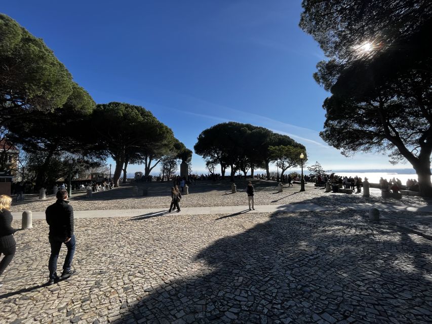 Lisbon: Saint George's Castle Entry Ticket and Guided Visit - Bird moments and photo-friendly stops that do not feel like a checklist