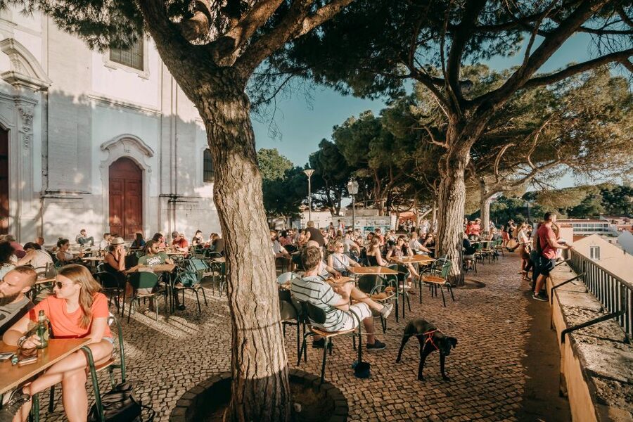 Lisbon: See Lisbon Like a Local on a Private Walking Tour - Price and value: is $82 fair for a 3-hour private walk?